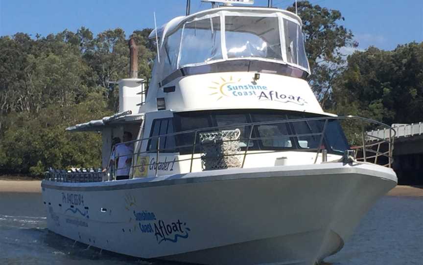 Kaizen Charters, Mooloolaba, QLD