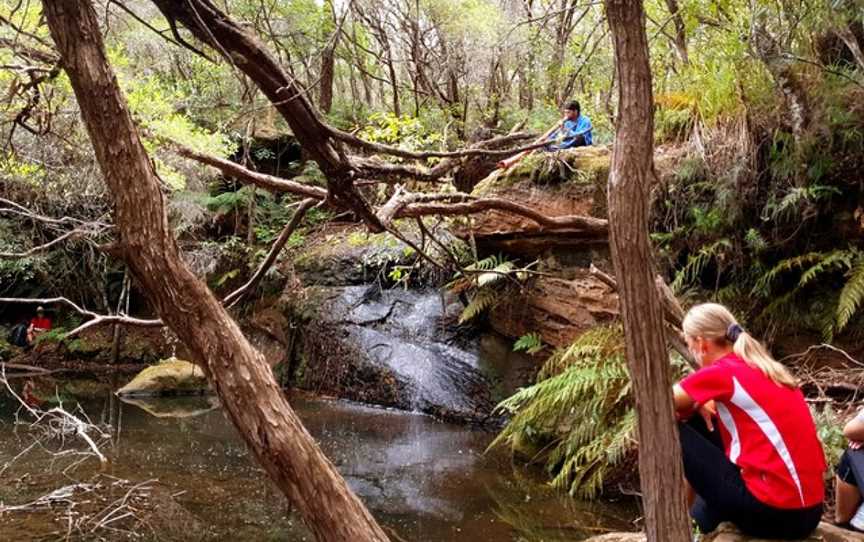 Optimum Experiences, Fitzroy Falls, NSW