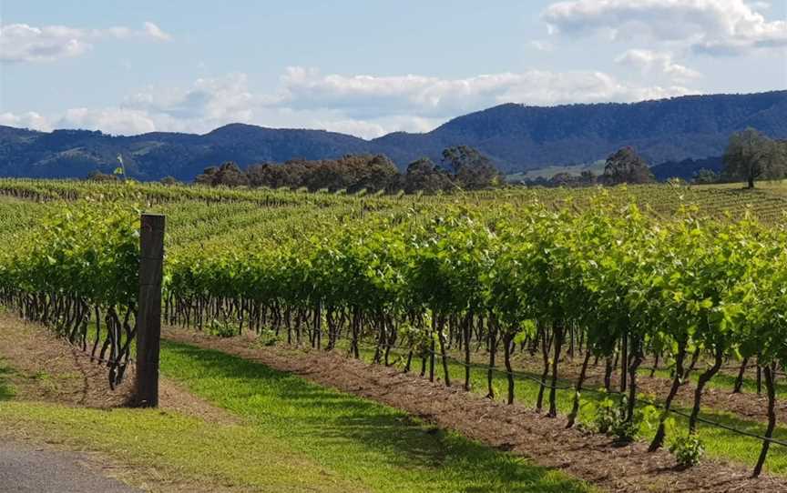 Hunter Valley Private Wine Tours & Transfers, Pokolbin, NSW