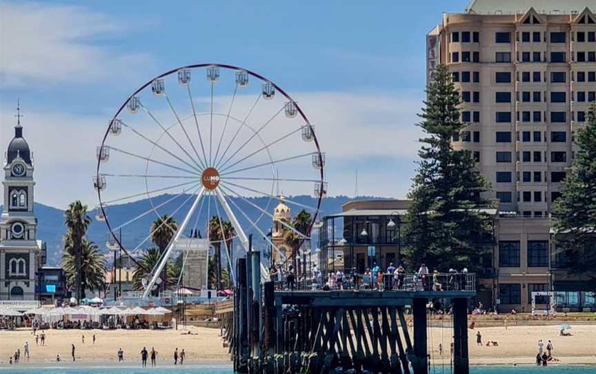 Adelaide Ocean Safari, Glenelg, SA