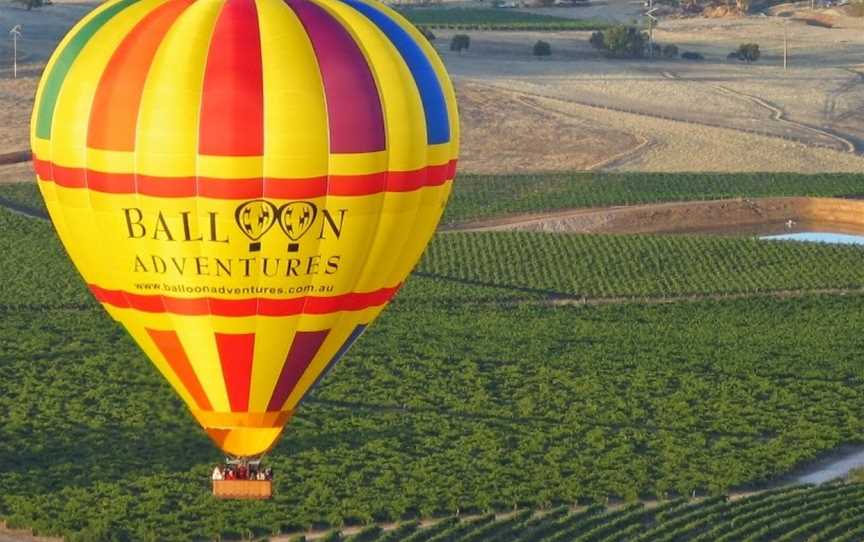 Barossa Balloon Adventures, Nuriootpa, SA