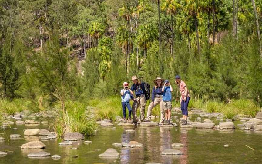 Australian Nature Guides, Carnarvon National Park, QLD