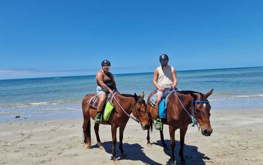 Cape Trib Horse Rides, Cape Tribulation, QLD