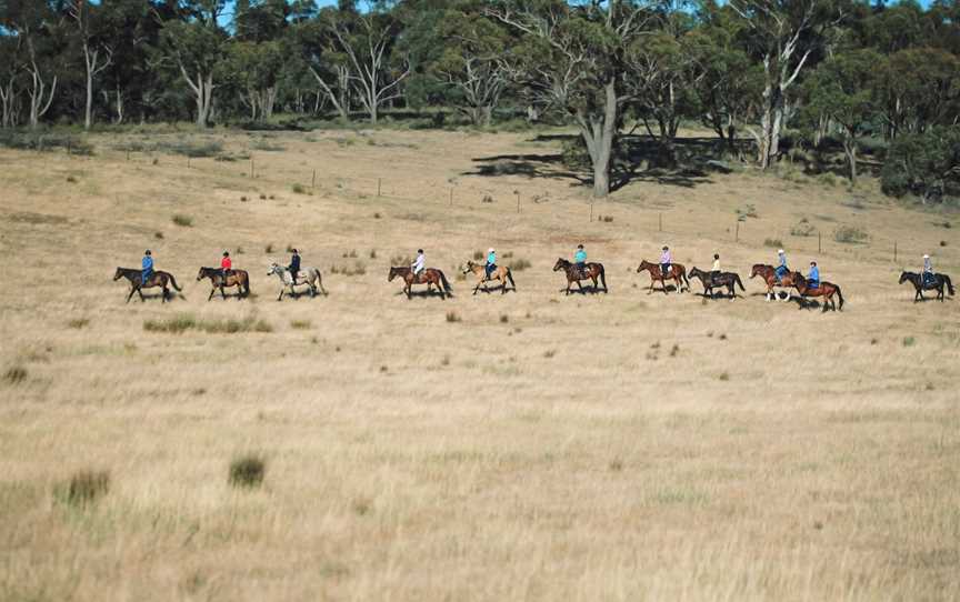Burnelee Excursions on Horseback, Murrumbateman, NSW