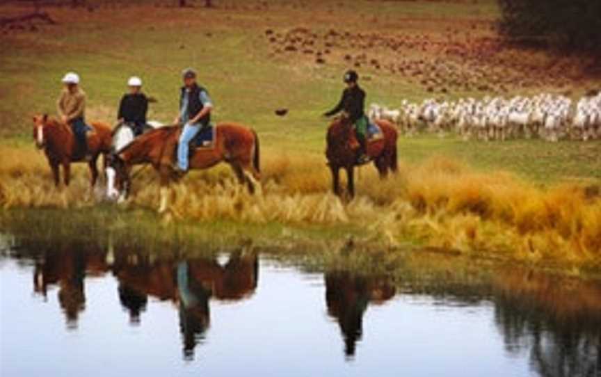 Burnelee Excursions on Horseback, Murrumbateman, NSW