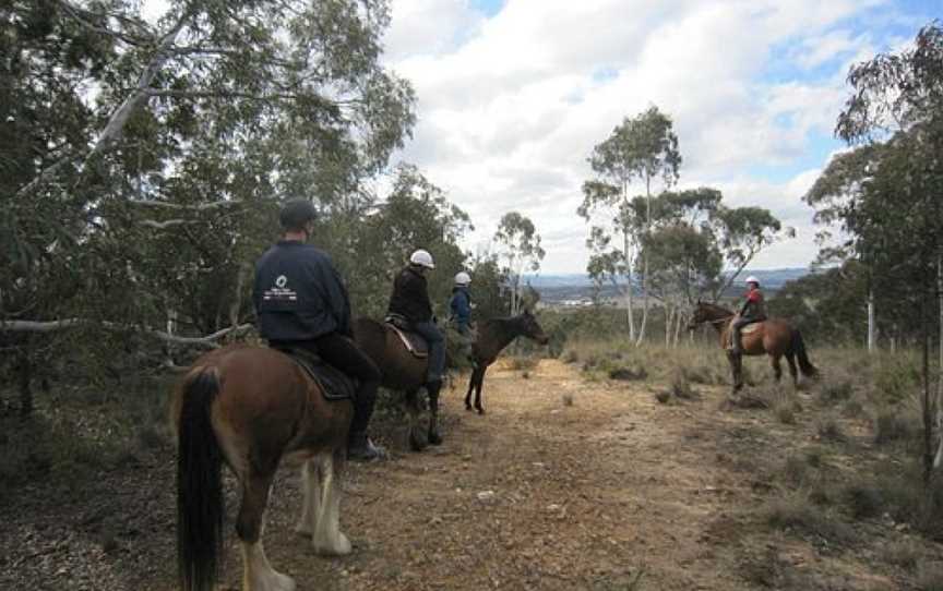 Burnelee Excursions on Horseback, Murrumbateman, NSW