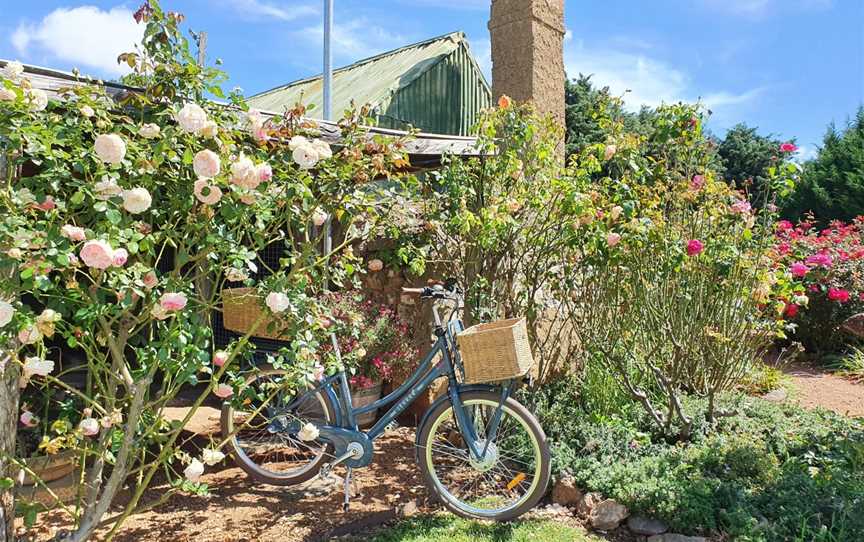Canberra Wine Region E-Bike Tours, Murrumbateman, NSW