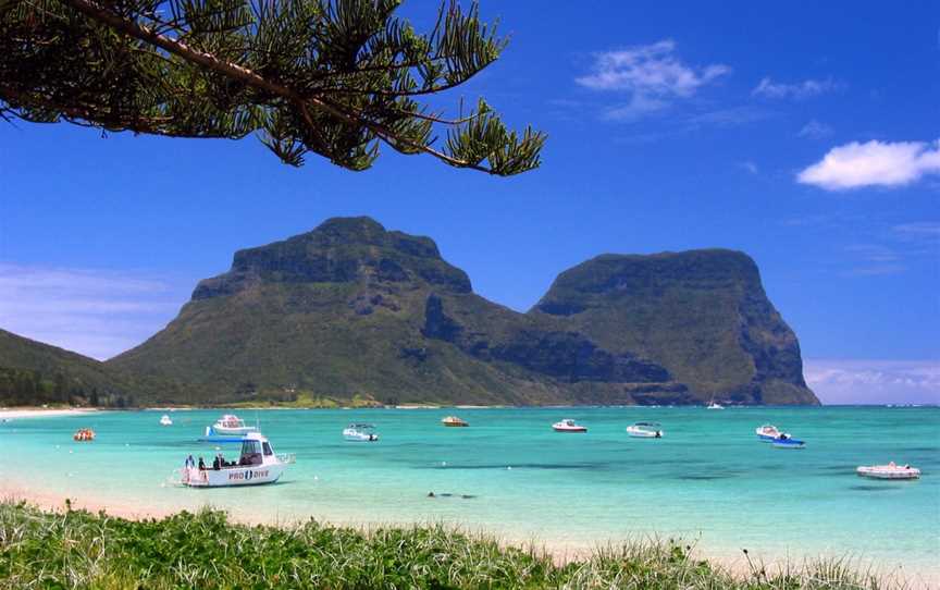 Chase ‘n’ Thyme Tours, Lord Howe Island, NSW
