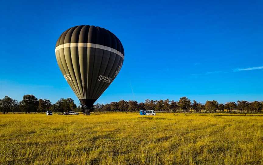 Balloon Aloft Hunter Valley, Lovedale, NSW