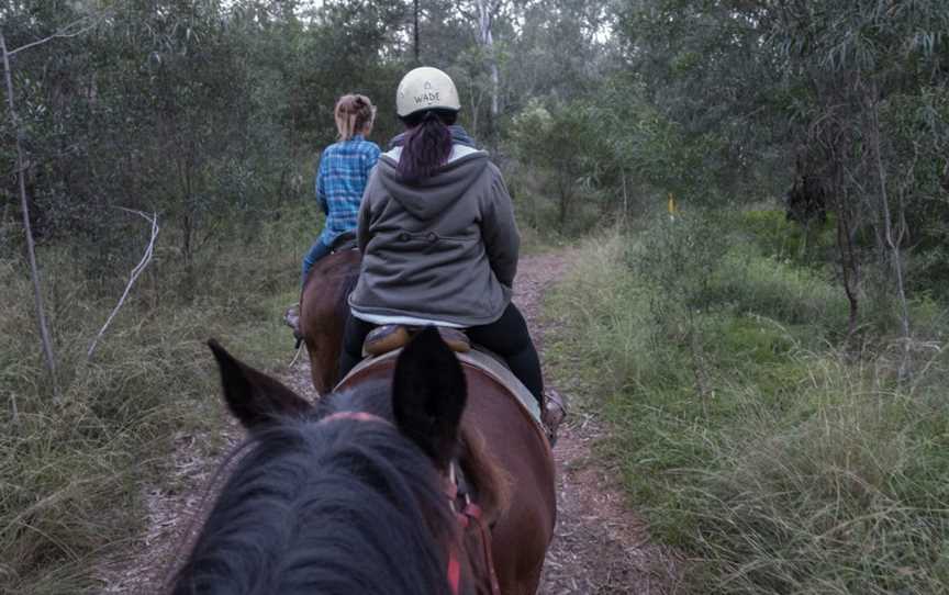 WADE HORSES BINGARA, Bingara, NSW