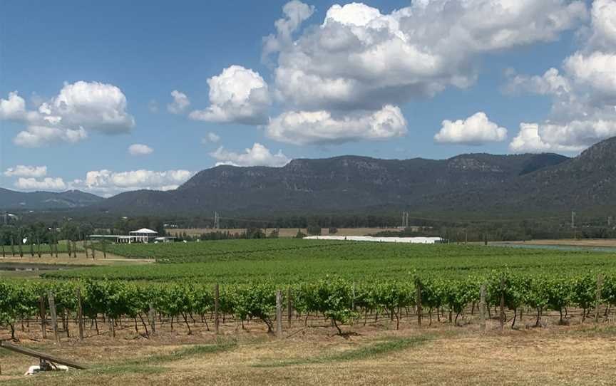 Hunter Valley Guide - Hunter Valley, Pokolbin, NSW