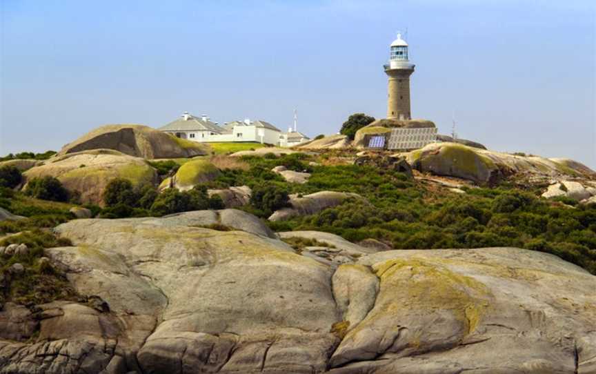 Montague Island Adventures & Charter Fish Narooma, Narooma, NSW