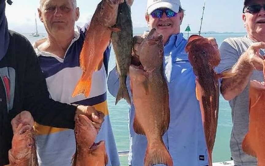 Aquis Fishing & Reef Charters Port Douglas, Port Douglas, QLD