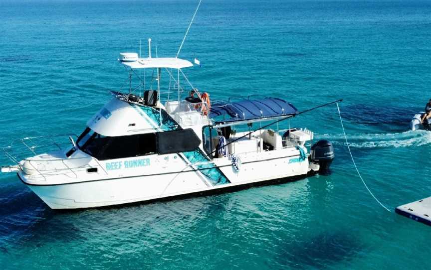 REEF RUNNER CHARTERS, Cairns City, QLD