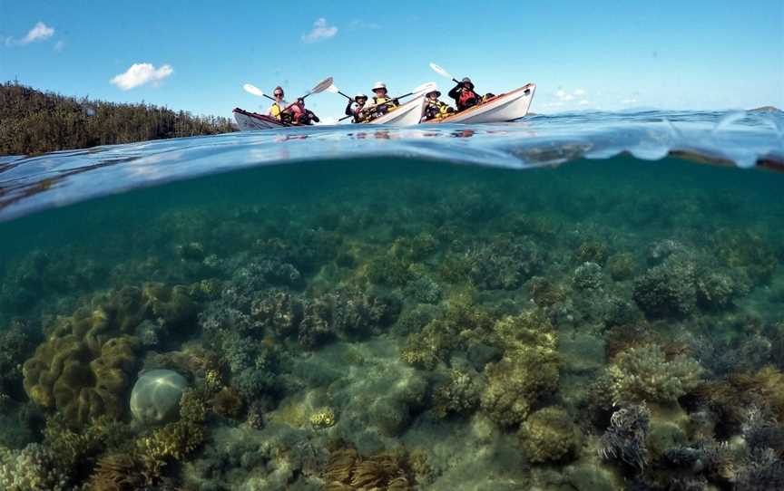 Salty Dog Sea Kayaking, Shute Harbour, QLD
