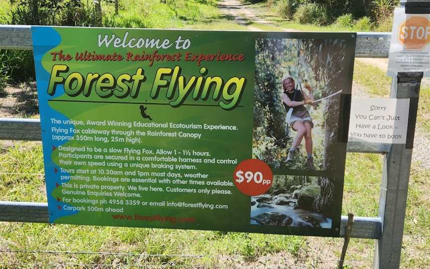 Forest Flying, Finch Hatton, QLD