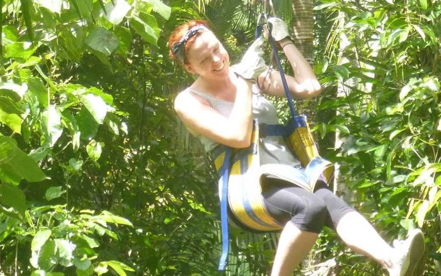 Forest Flying, Finch Hatton, QLD