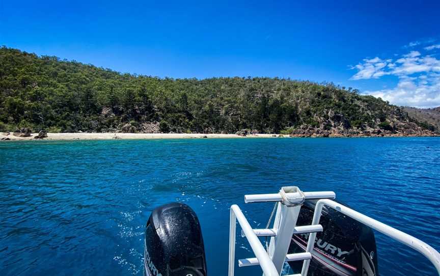 Whitsunday Dive Adventures, Airlie Beach, QLD