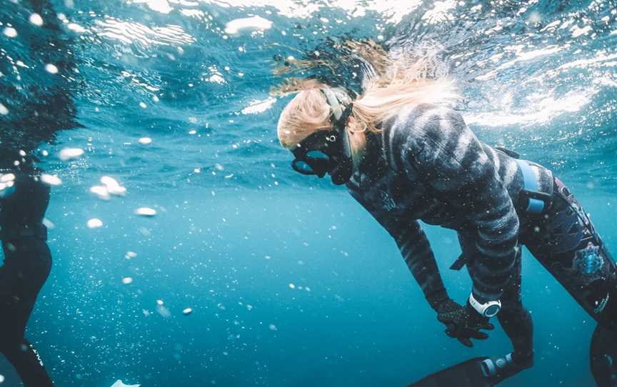 OceanSense Freediving Airlie Beach, Cannonvale, QLD