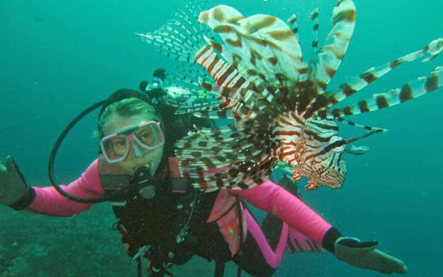 Whitsunday Dive Centre, Airlie Beach, QLD