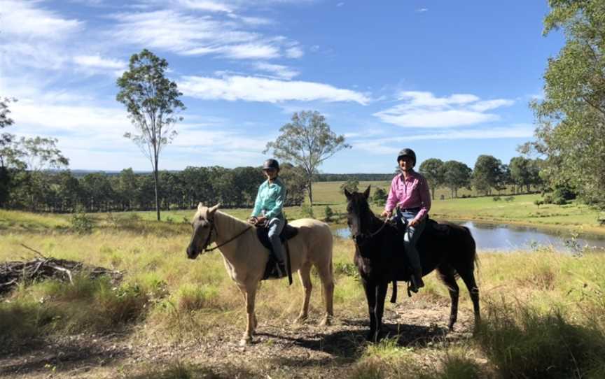 Horses With Holly, Wolvi, QLD