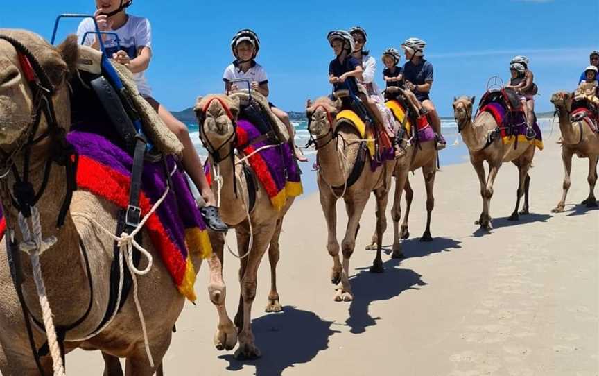 Noosa Camel Rides, Noosa North Shore, QLD