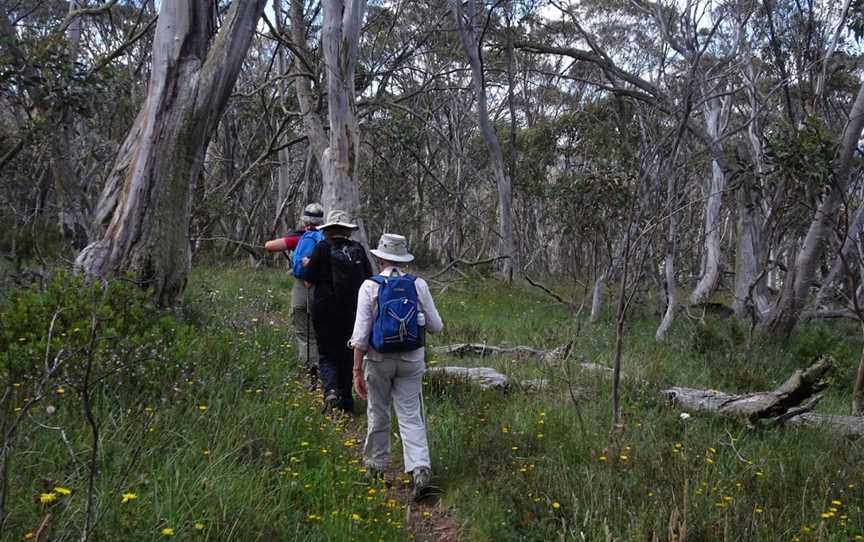 Gippsland High Country Tours, Bruthen, VIC