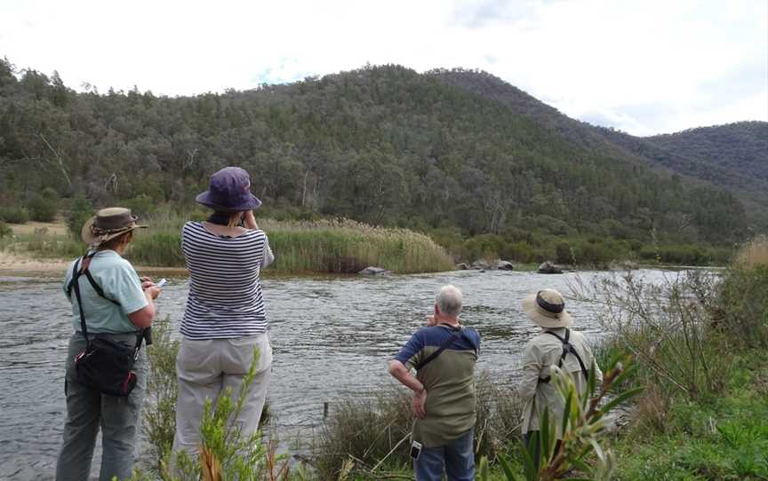 Gippsland High Country Tours, Bruthen, VIC