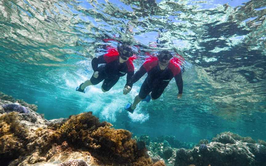 Rottnest Snorkel, Rottnest Island, WA