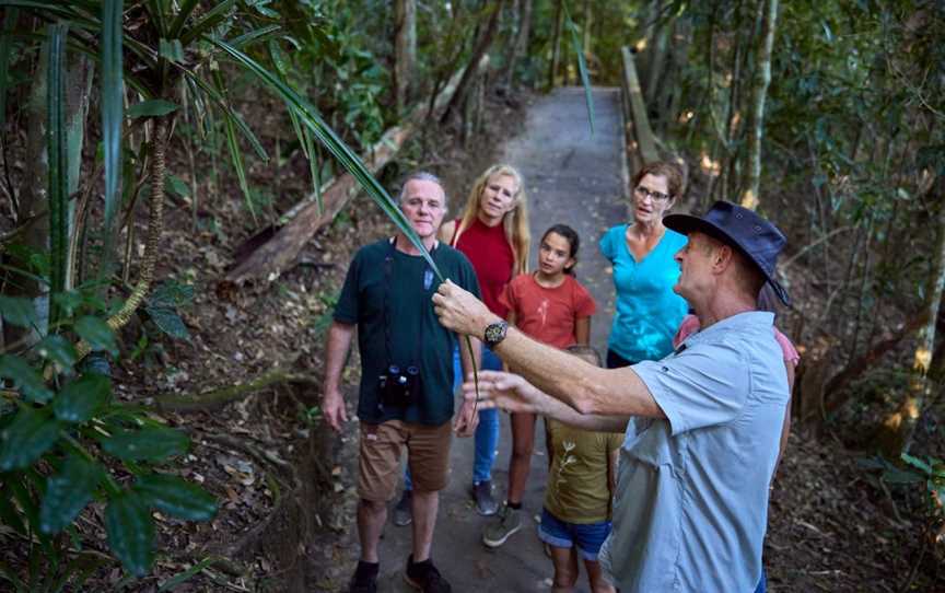 Wait-a-While Rainforest Tours - Nocturnal Rainforest Wildlife Tour, Cairns City, QLD