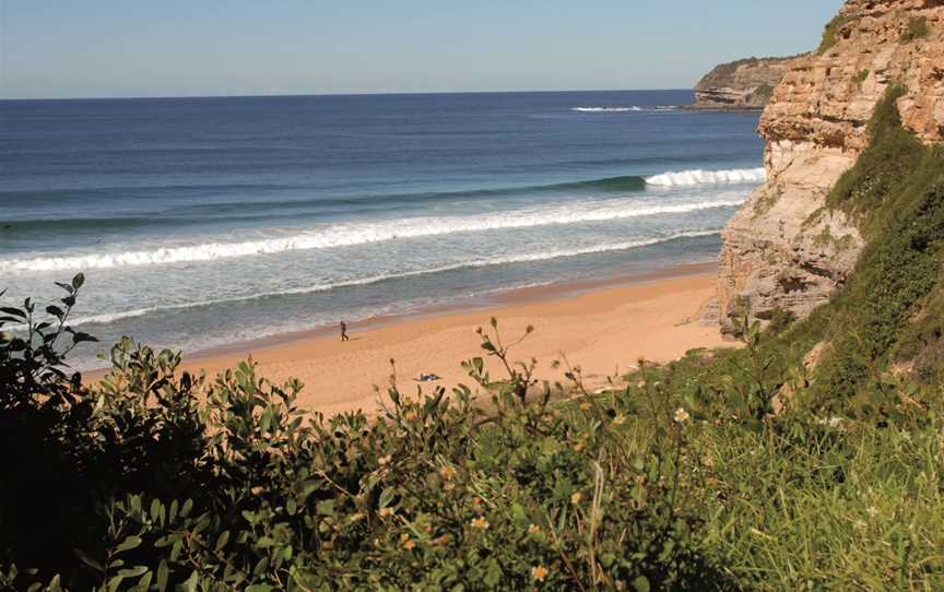 Manly Surf Guide, Brookvale, NSW