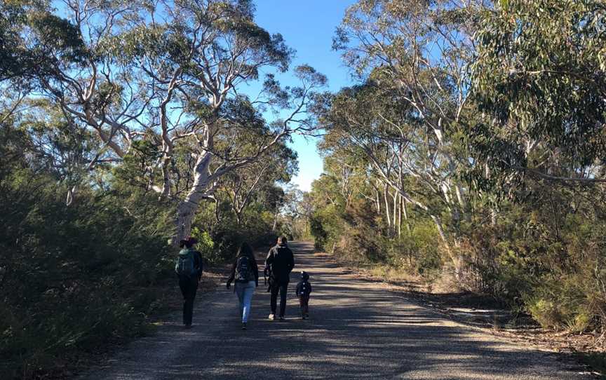 Guided Indigenous Walks in Dharawal National Park, Wedderburn, NSW