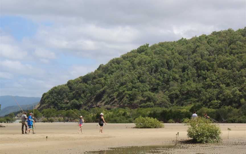Ngana Julaymba Dungay: We All Going Daintree - Half Day - Walkabout Cultural Adventures, Port Douglas, QLD