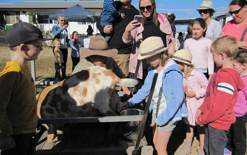 Naughty Little Kids Goat Dairy, Peak Crossing, QLD