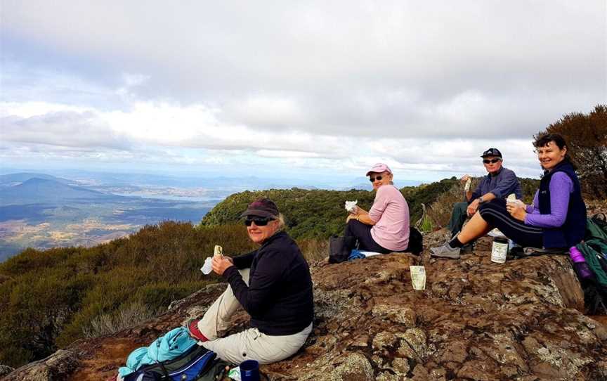 Scenic Rim Pack-Free Guided Walk - Life's an Adventure, Spring Hill, QLD