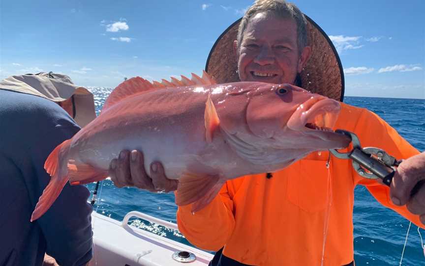 Great Barrier Reef Fishing and Island Tours, Flying Fish Point, QLD
