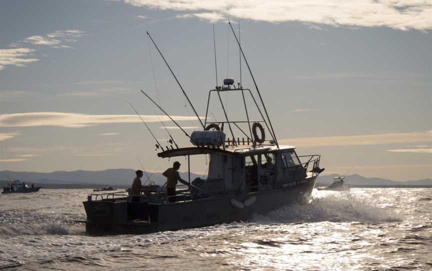 Montague Island Game and Sport Fishing Charters, Narooma, NSW
