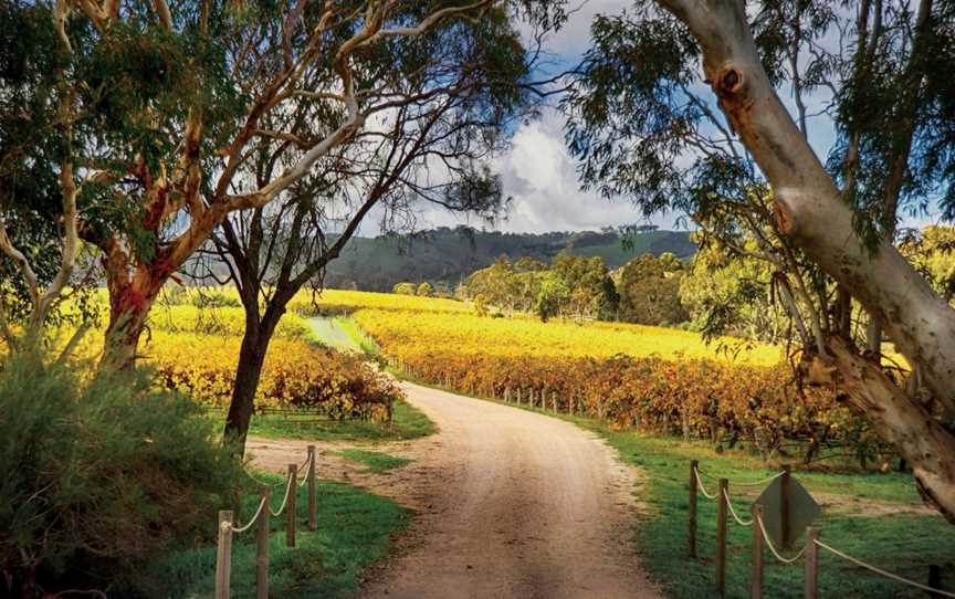 Adelaide's Top Food And Wine Tours - Fleurieu Peninsula, Seaford Rise, SA
