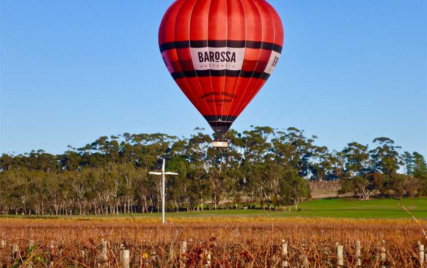 Barossa Valley Ballooning, Seppeltsfield, SA