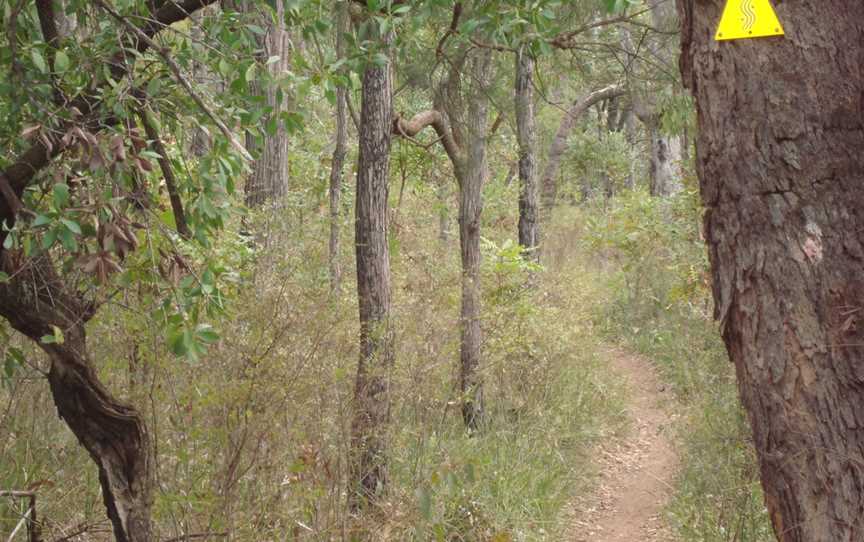 Rock and Roll Mountain Biking Tours, Spring Hill, QLD