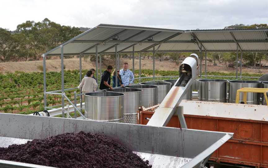 Kalleske Wines Winery & Vineyard Tours, Greenock, SA