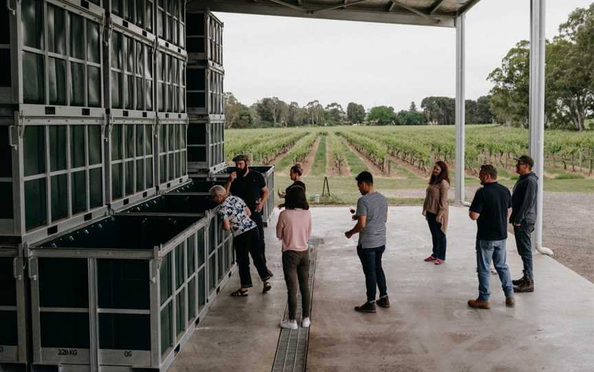 Kies Family Wines - Barossa Valley Winery Experiences, Lyndoch, SA