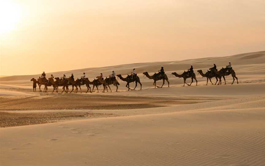Oakfield Ranch Camel Rides, Anna Bay, NSW