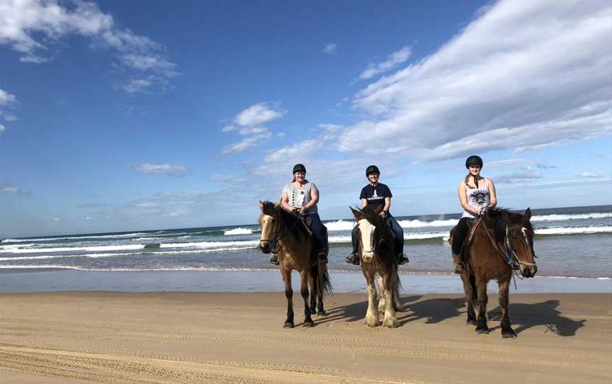 Sahara Trails Horse Riding Port Stephens, Anna Bay, NSW