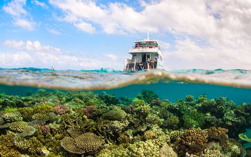 Wavelength Reef Cruises, Port Douglas, QLD