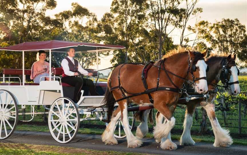 Carriage of Occasion Horse Drawn Wine Tour, Langhorne Creek, SA