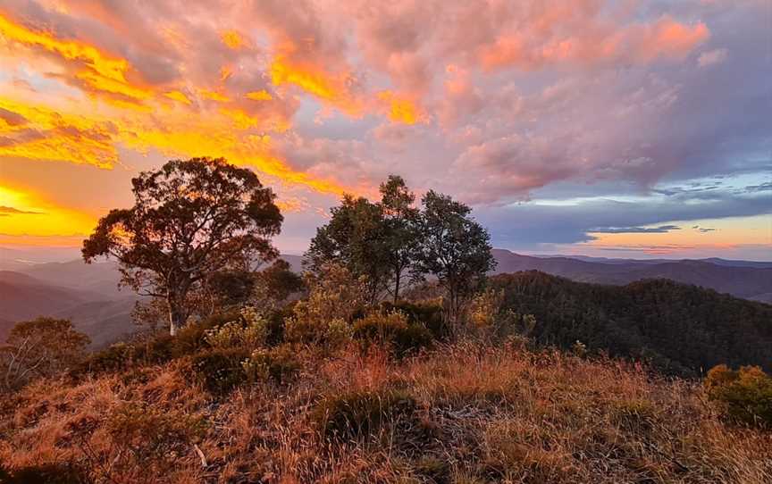 High Country Hiking Tours, Merrijig, VIC