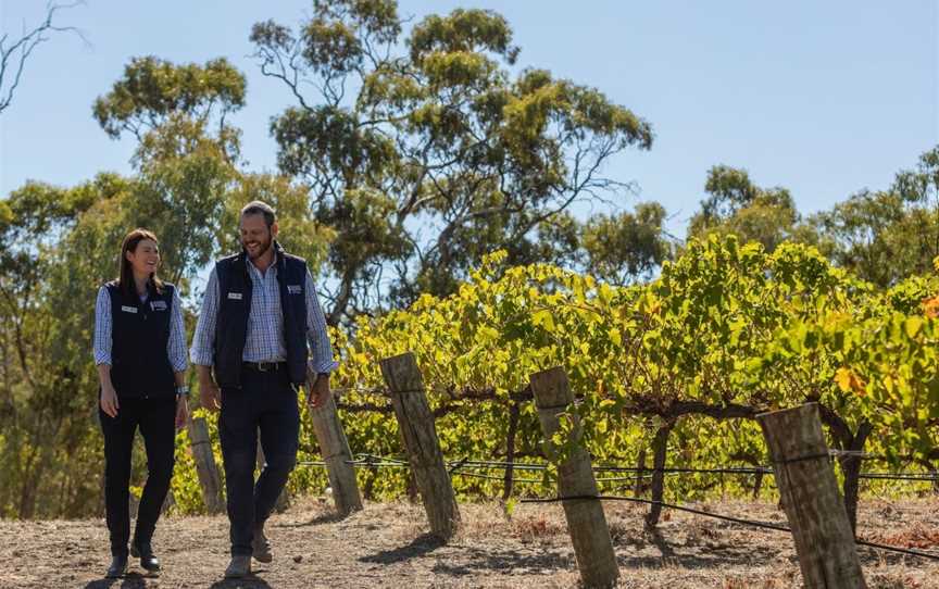Intimate Tasting Experience with the Winemaker - Sussex Squire Wines Clare Valley, Gillentown, SA