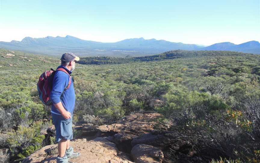 Walking the Flinders Ranges - Three and Five Day Guided Bushwalks, Hawker, SA