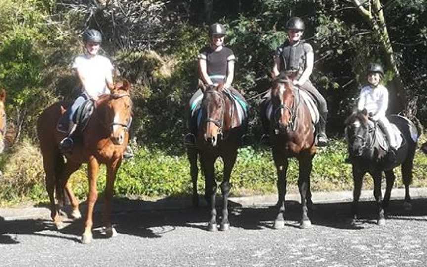 Bannockburn Riding Academy, Pokeno, New Zealand